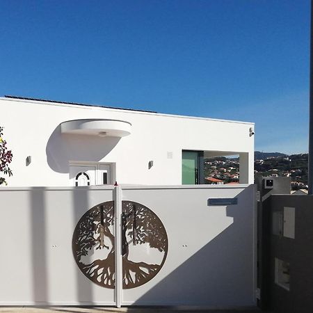 فندق The Tree Of Life House بونتا دو سول المظهر الخارجي الصورة
